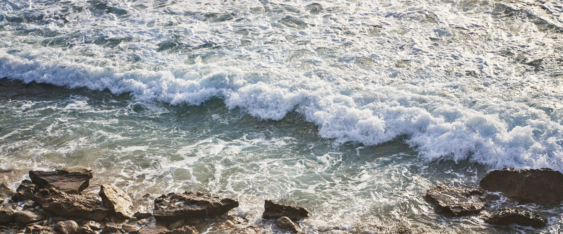 astrology for leo season: what's in store for you