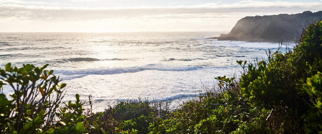 astrology for virgo season: what's in store for you 